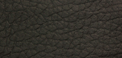 Standard Leather Black 28